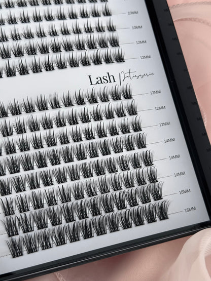 Lash booklet.