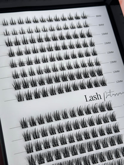 Lash booklet.