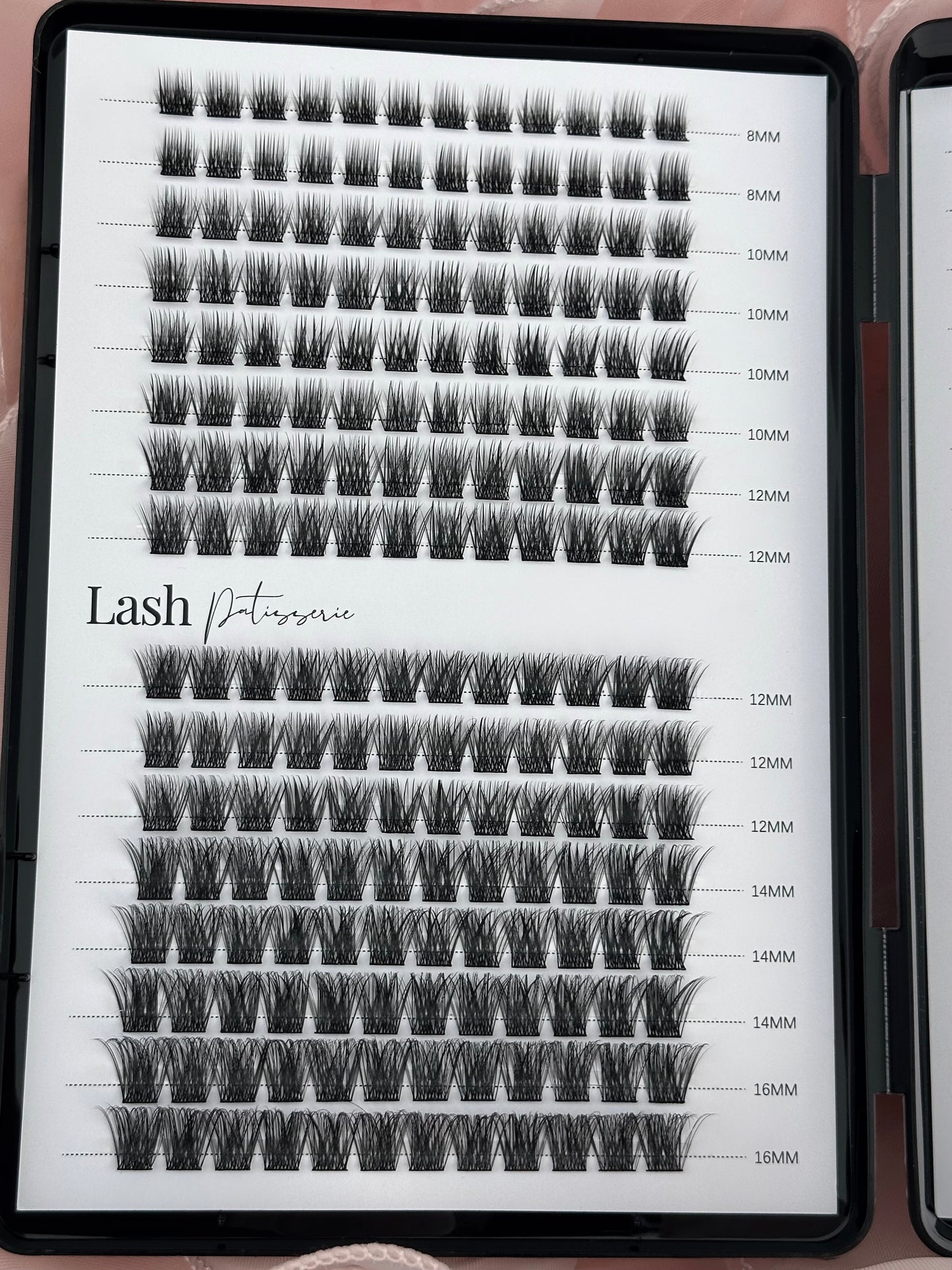 Lash booklet.