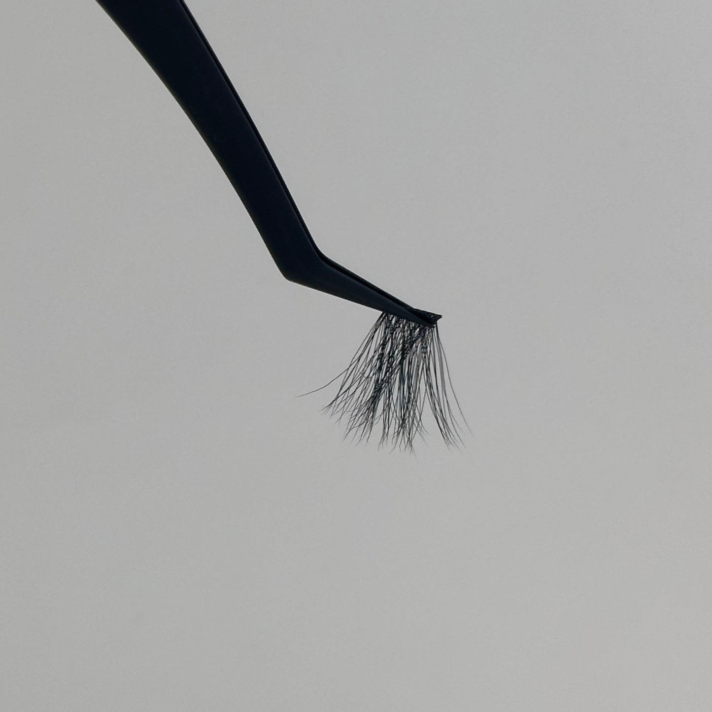 Precision Lash Tweezers.