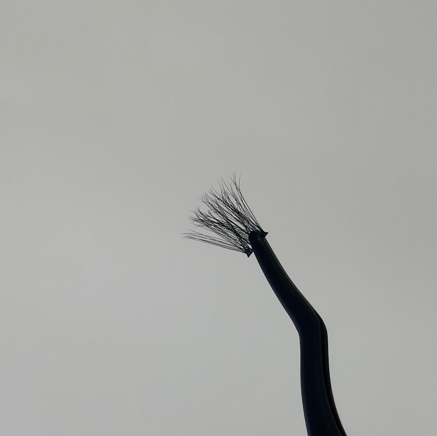 Classic Lash Tweezers.