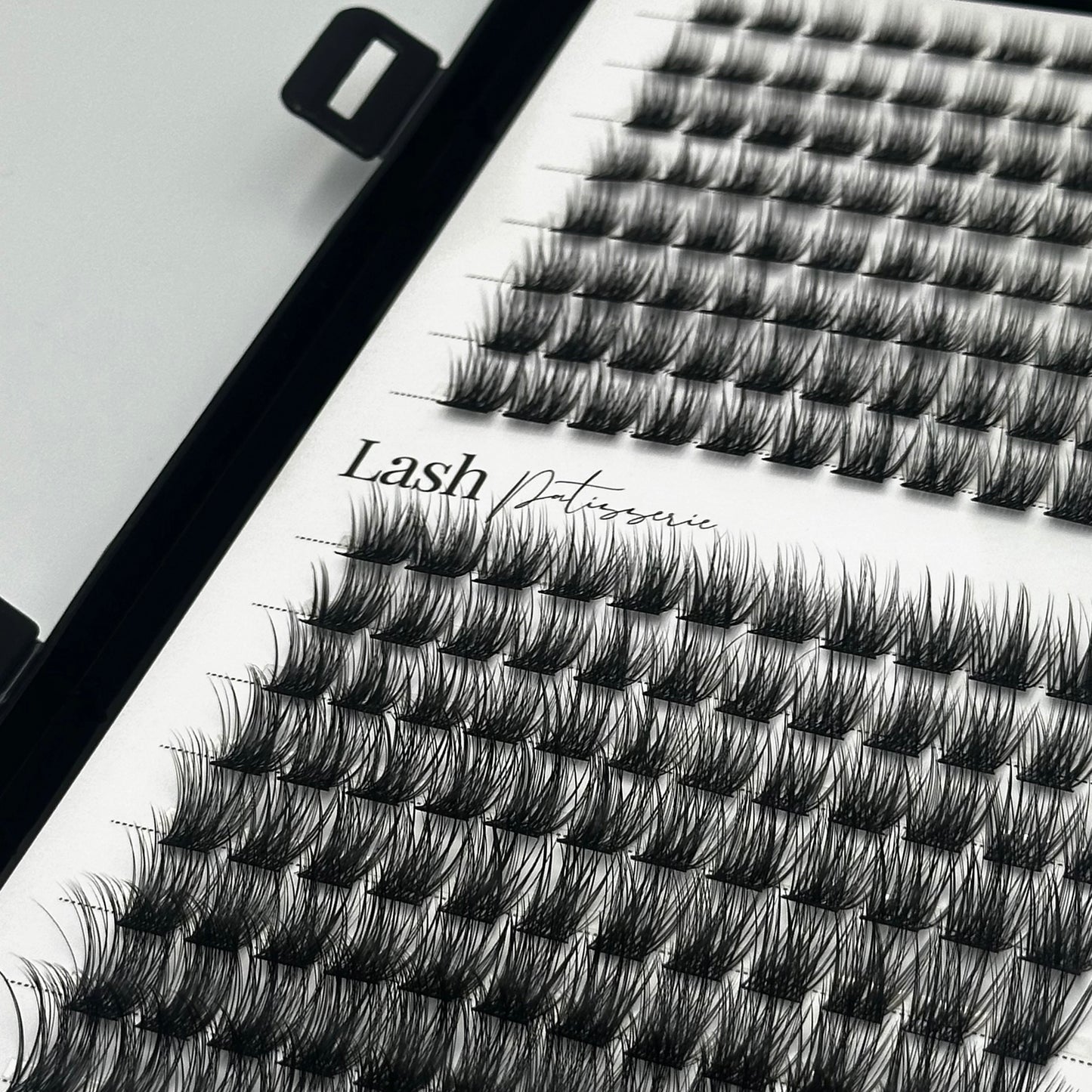 Lash Booklet Set.